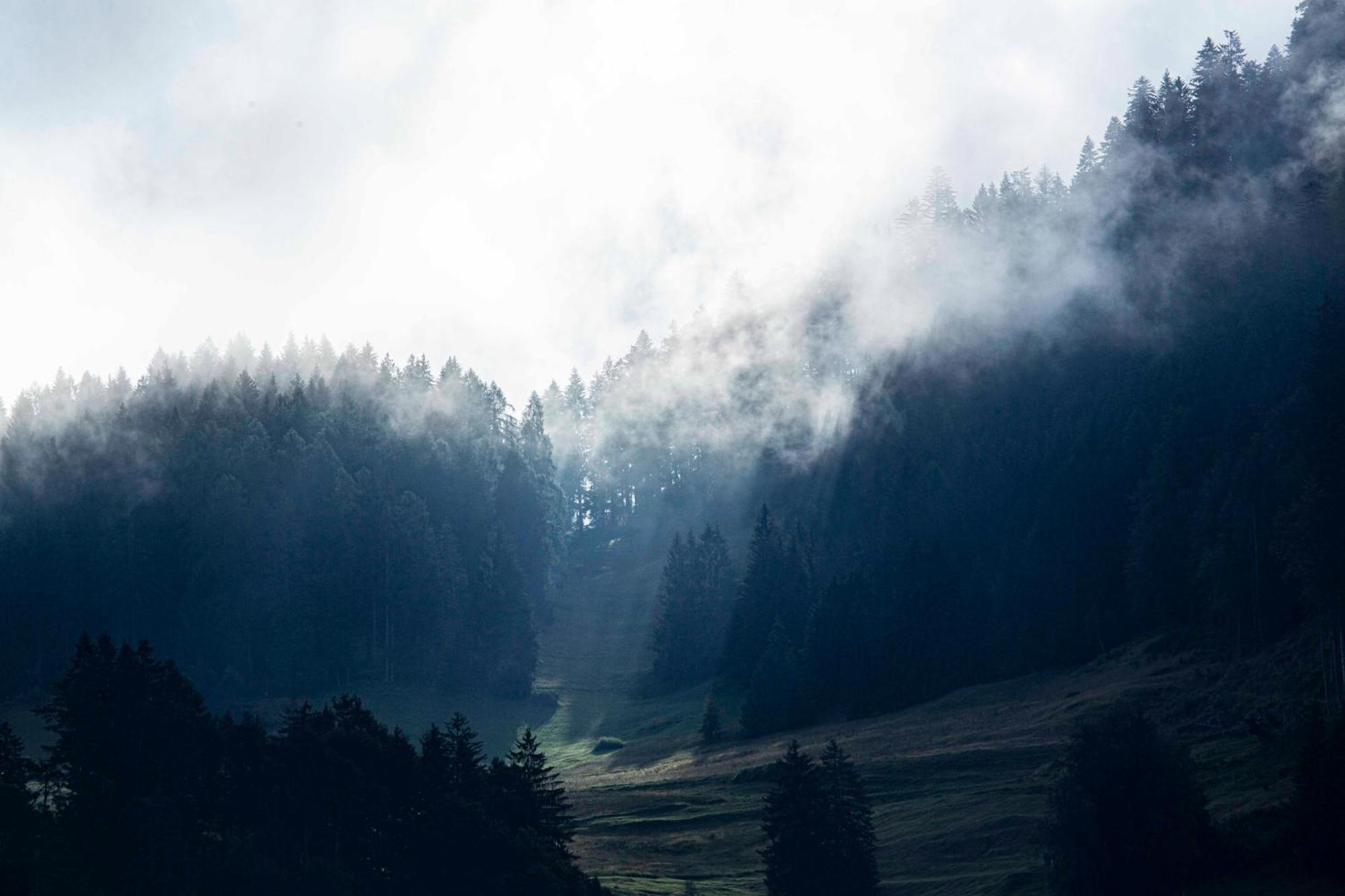 Gasthaus Roessli Versam Buitenkant foto